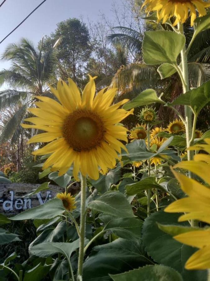 Phayam Garden View Hotel Koh Phayam Luaran gambar